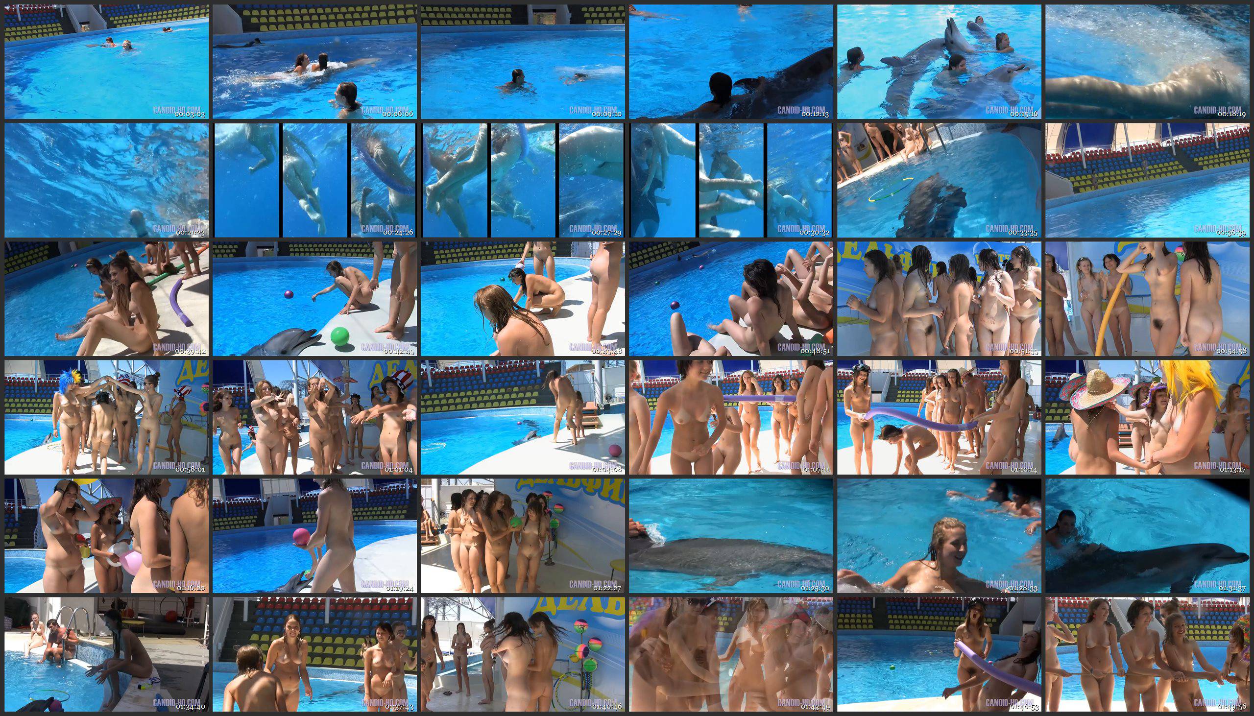 Amazing Dolphin Encounter - Thumbnails